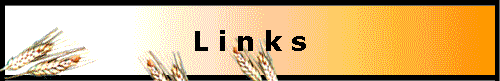  L i n k s 